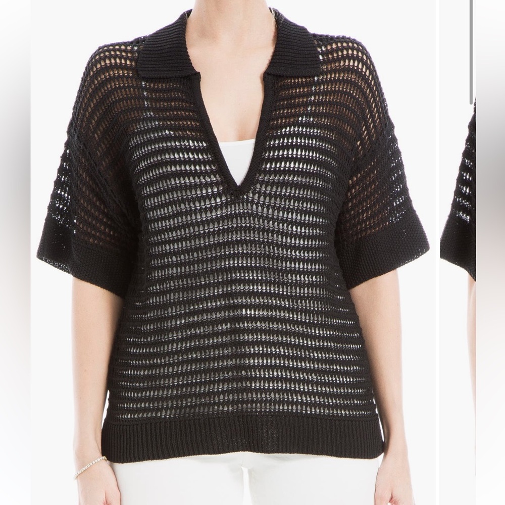 Max studio v neck polo sweater